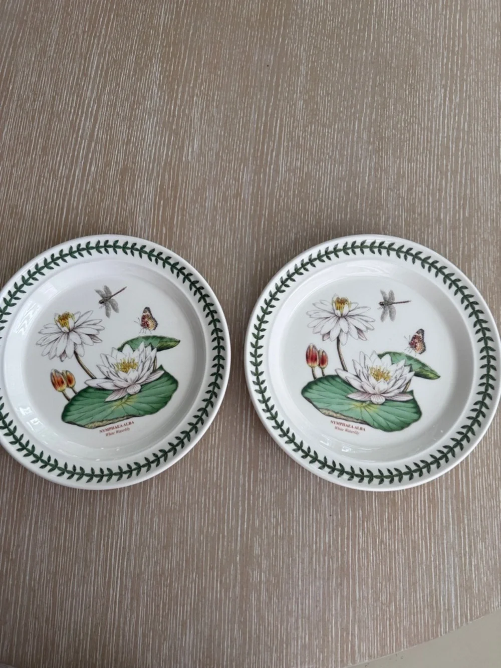 Botanic Garden Exotic Botanic Garden 10.5” Plate with White Water Lily Motif 2pc - Picture 2 of 12